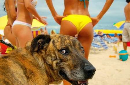 Homme mur convivial reçois masseuse