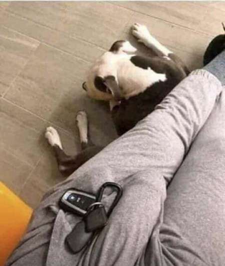 Porno bonne baise