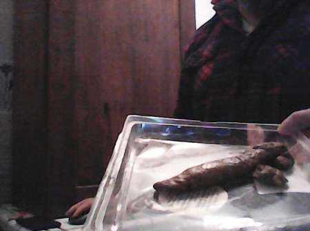 wc humain reçois en belgique