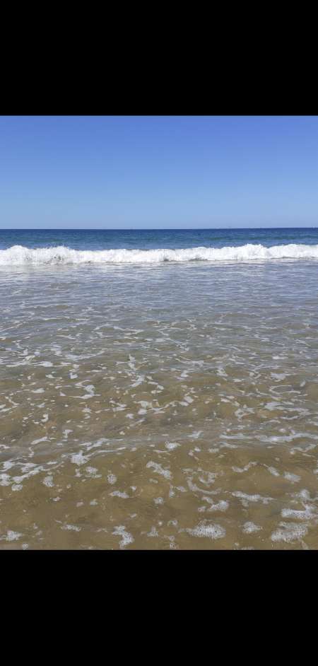 Je propose 400 roses pour une nuit