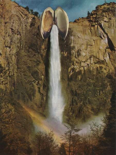 Achat d'urine féminin