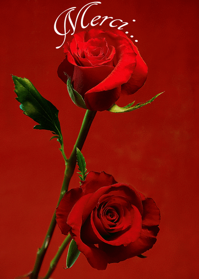 Pour femme sans tabou, ou presque...