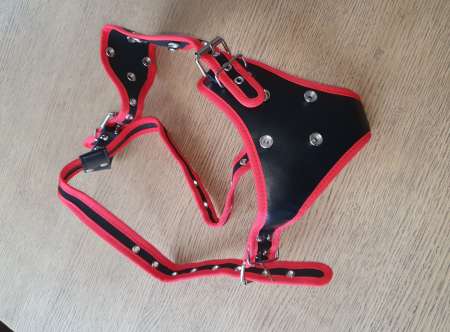 Cherche femme enculeuse.