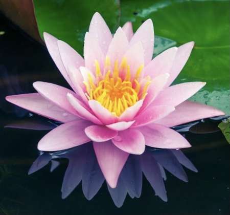 Massage érotique gratuit pour jf (25 maxi)