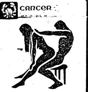 Homme cherche ses femmes