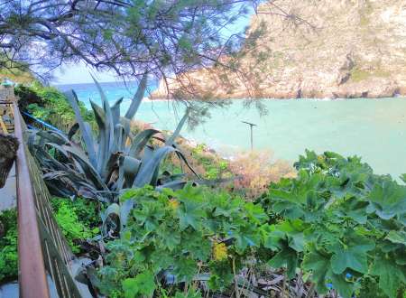  Rencontre, sortie, loisir, voyage