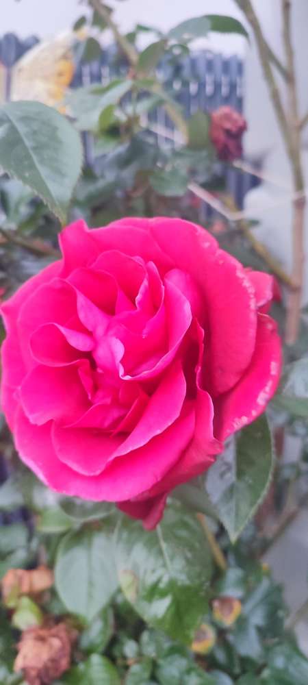 ESCAPADE ET EVASION POUR VOUS MADAME