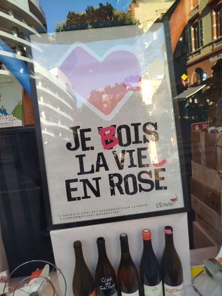 Moneymiss cherche Moneyslave dévoué