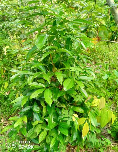 Relation sérieuse uniquement