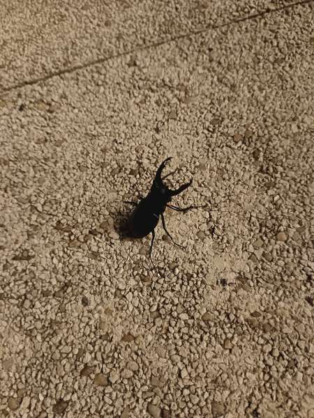 Découvrir et partager, des personnes Open