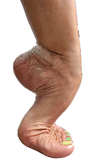 Rech. pied tres cambré de femme pour seance photo