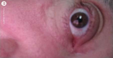 Homme de forte corpulence recherche partenaire