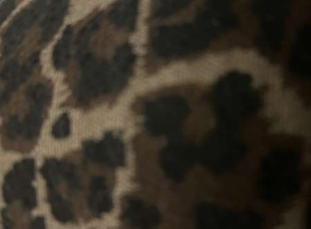 Cherche une maîtresse pour duo