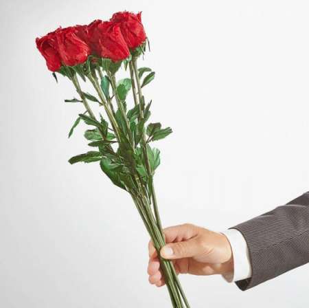 Homme pour toute femme vnle