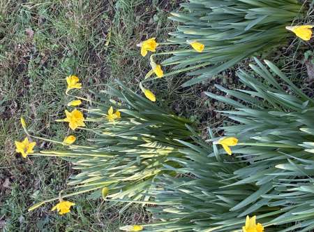Homme Jeune Femme, étudiante bienvenue