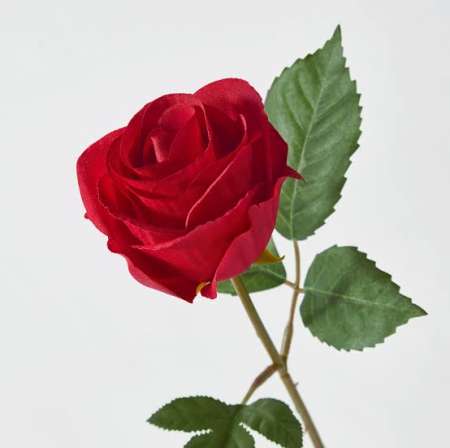 Homme recherche femme délaissé