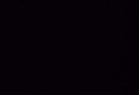 Recherche expérience scato