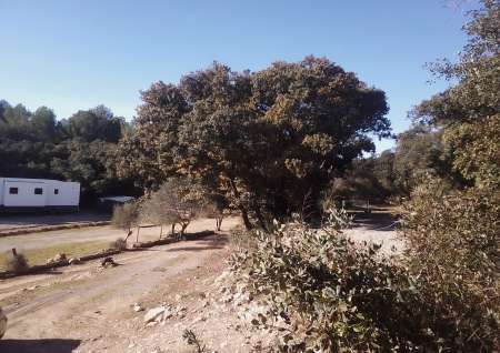 Rencontre nature couple où femmes