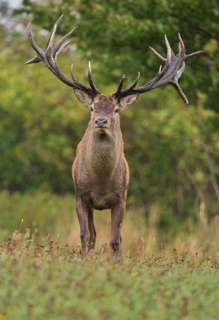 Massage et cunnilingus gourmand !