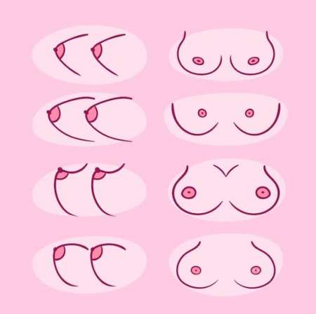 J'aime les grosses poitrines