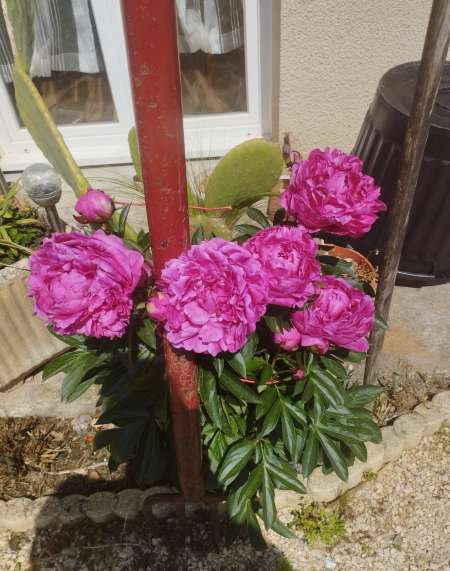 Recherche femme 50 a 72 ans