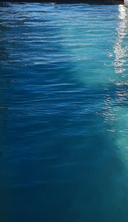 Partage piscine Naturiste